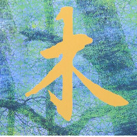 ユーザー画像