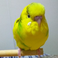 ユーザー画像