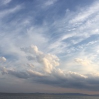 ユーザー画像