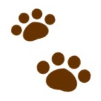 Tosheのプロフィール画像