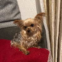 ご依頼者のプロフィール画像