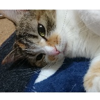 marumimiのプロフィール画像
