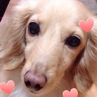 Kururunのプロフィール画像