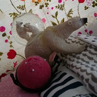 asa120910のプロフィール画像