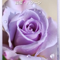 roseflowerのプロフィール画像