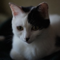 tipiのプロフィール画像