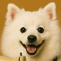 ユーザー画像