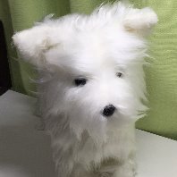 paulagudurのプロフィール画像