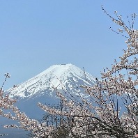 ご依頼者のプロフィール画像
